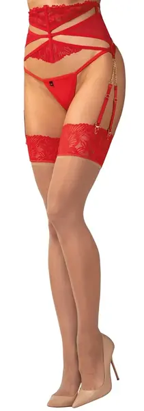 Obsessive Matildea Sheer Stockings S/M with Red Lace Top