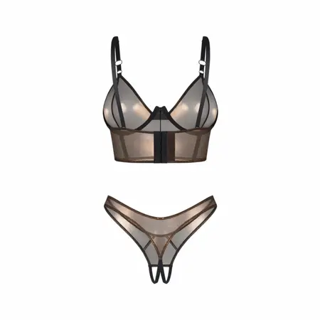 Obsessive Soranna Brown Corset Set with Sheer Mesh & Adjustable Straps L/XL