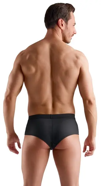 Svenjoyment Men's Black Glam Mesh Pants L - Sparkling Front, Stretch Fit