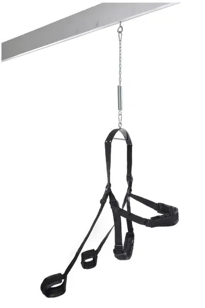 Fetish Fantasy Series Fantasy Swing Adjustable Support System Black