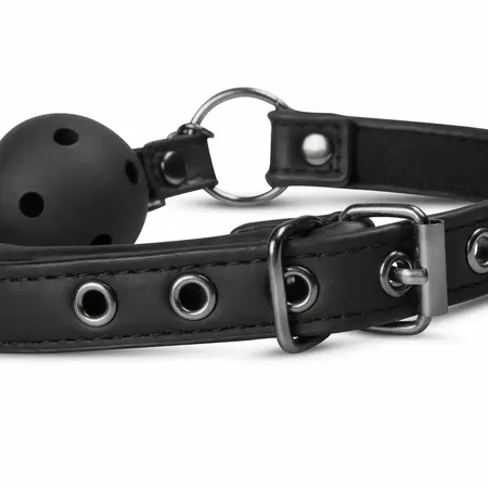 EasyToys Adjustable Open Ball System with Chain-Linked Clamps, Black