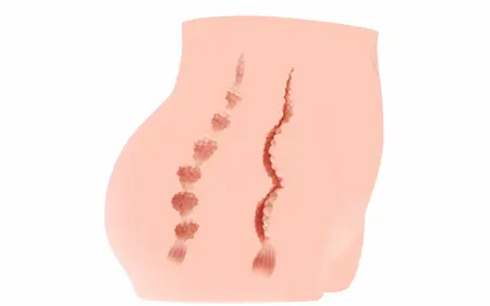 Cherry Premium Intimate Machine Double Entry Anatomical Model Large Size