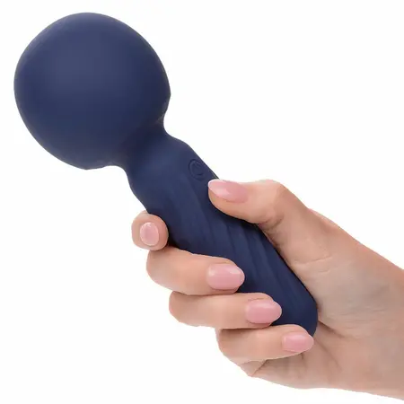 CalExotics Charisma Seduction Massager 12 Modes, Waterproof, Purple