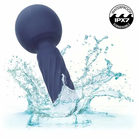 CalExotics Charisma Seduction Massager 12 Modes, Waterproof, Purple