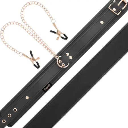 Coquette Chic Desire Vegan Leather Collar with Adjustable Chain Clips
