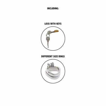 Hidden Desire Extreme Metal Chastity System, Adjustable, 7.9 cm, Silver
