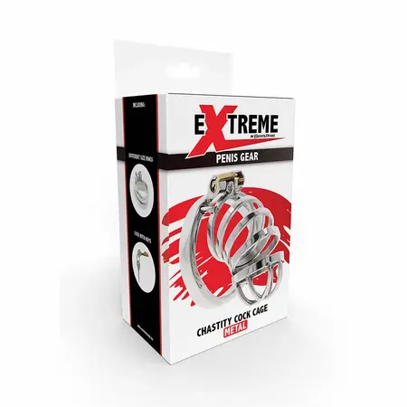 Hidden Desire Extreme Metal Chastity System, Adjustable, 7.9 cm, Silver