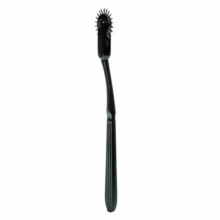 CalExotics Boundless Sensory Wheel 22-Point Stainless Steel 18.5 cm