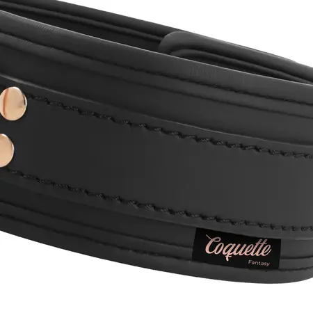 Coquette Chic Desire Vegan Leather Collar with Metal Chain, Black