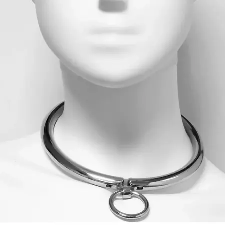Metal Hard Stainless Steel Collar with Combination Lock 13.5 cm