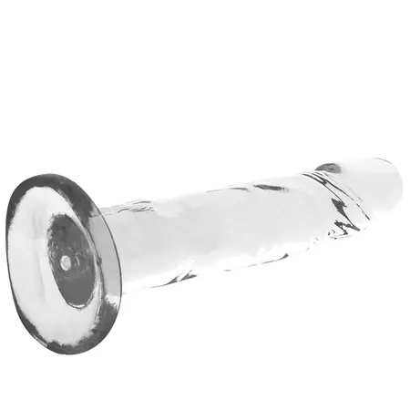 XRAY Clear 18 cm Transparent Intimate Model with Suction Base