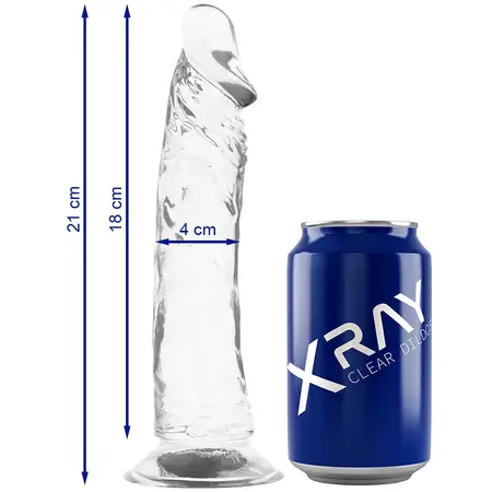 XRAY Transparent Intimate Model 21 cm x 4 cm Jelly Material, Suction Base