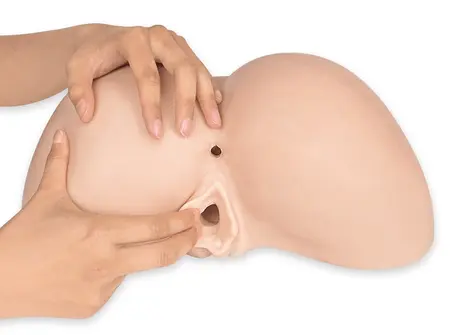 SilexD Daphne Intimate Torso Machine Liquid Silicone Thermo-Reactive 27x32.5cm