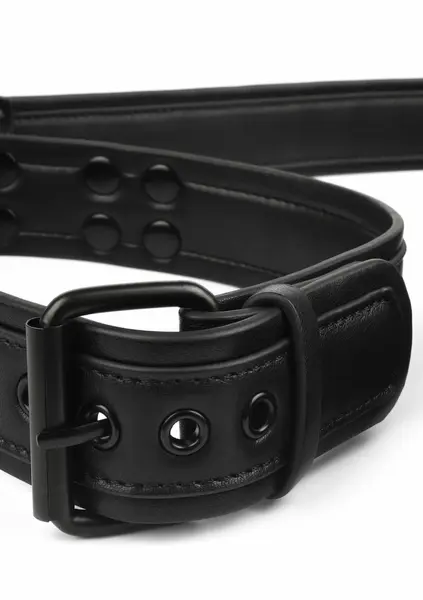 AVANZA VANTAGE 8 Signature Collar & Leash Black PU Leather Set