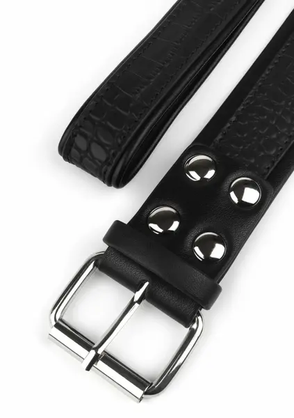 AVANZA FEROS Croc-Embossed PU Leather Collar & Leash Set Black