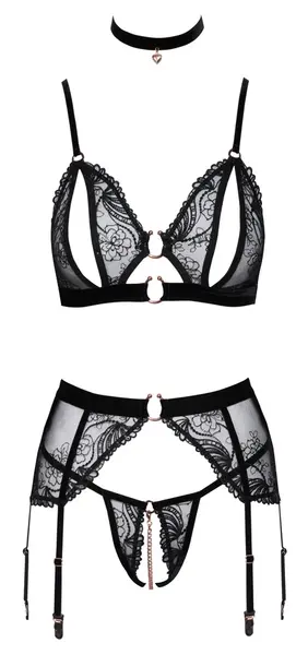 Abierta Fina Elegant Black Bra & Suspender Set with Velvet Choker M
