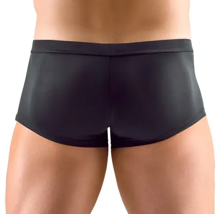 Svenjoyment Men’s Microfibre Pants S with Transparent Stripe Inserts