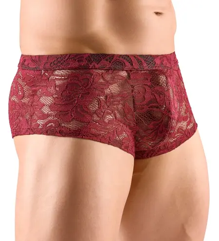 Svenjoyment Lace Design Transparent Men's Pants Dark Red L