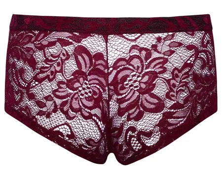 Svenjoyment Lace Design Transparent Men's Pants Dark Red L