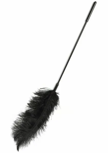 HIDDEN DESIRE Double Feather Tickler Black - Dual-Ended Feather Wand