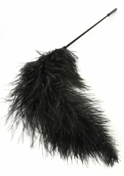 HIDDEN DESIRE Double Feather Tickler Black - Dual-Ended Feather Wand