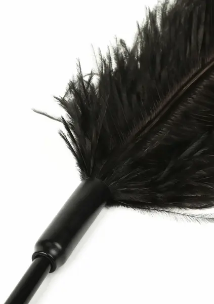 HIDDEN DESIRE Double Feather Tickler Black - Dual-Ended Feather Wand
