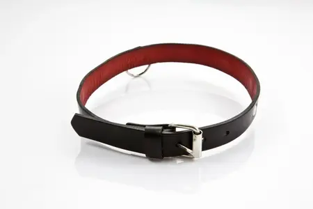 WHIPS Leather Collar Black - Adjustable, Premium Craftsmanship, 2 cm