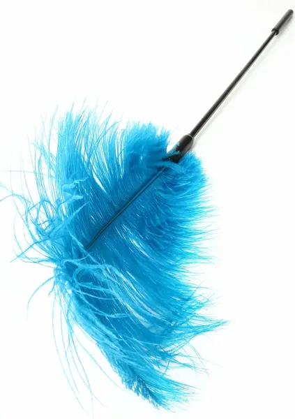 HIDDEN DESIRE Double Feather Tickler Black - Dual Natural Feather Wand