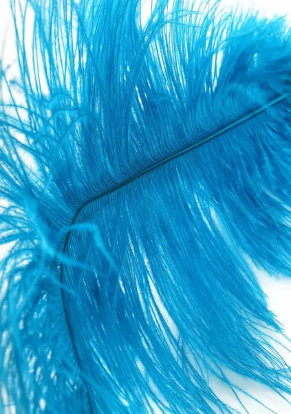 HIDDEN DESIRE Double Feather Tickler Black - Dual Natural Feather Wand