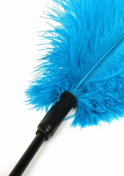 HIDDEN DESIRE Double Feather Tickler Black - Dual Natural Feather Wand