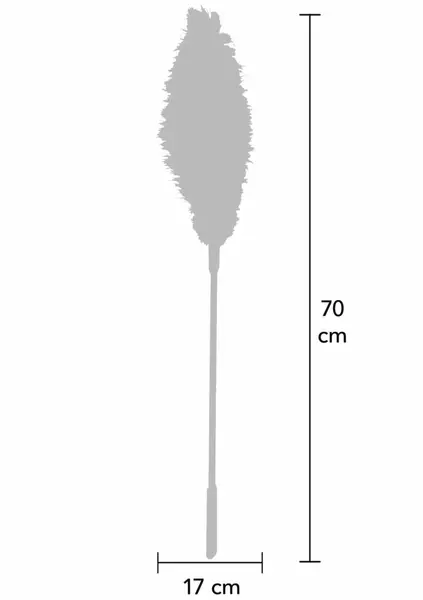 HIDDEN DESIRE Double Feather Tickler Black - Dual Natural Feather Wand