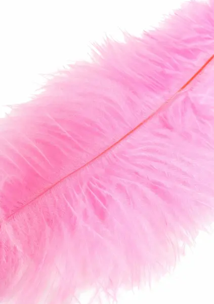HIDDEN DESIRE Double Feather Tickler Black - Dual Natural Feather Wand