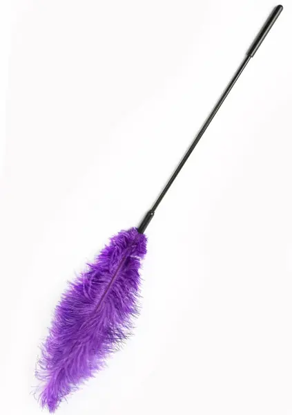 HIDDEN DESIRE Double Feather Tickler Black - Dual-Ended Sensory Tool