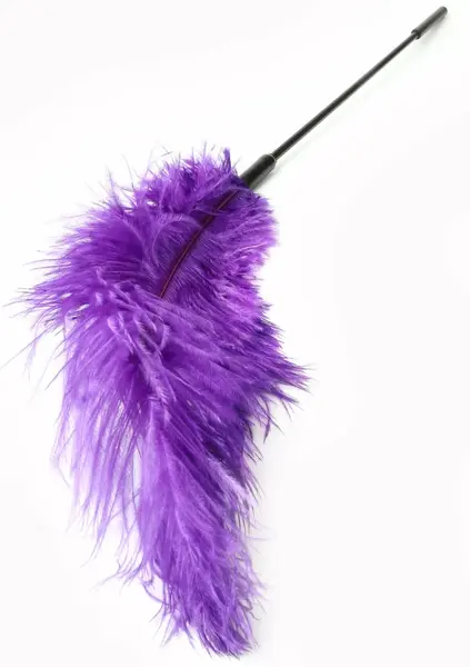 HIDDEN DESIRE Double Feather Tickler Black - Dual-Ended Sensory Tool