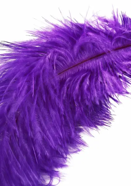 HIDDEN DESIRE Double Feather Tickler Black - Dual-Ended Sensory Tool