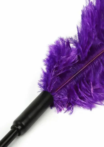 HIDDEN DESIRE Double Feather Tickler Black - Dual-Ended Sensory Tool