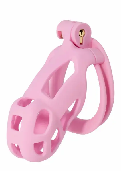 EXTREME by HIDDEN DESIRE Penis Prison Regular ABS Cage System Black
