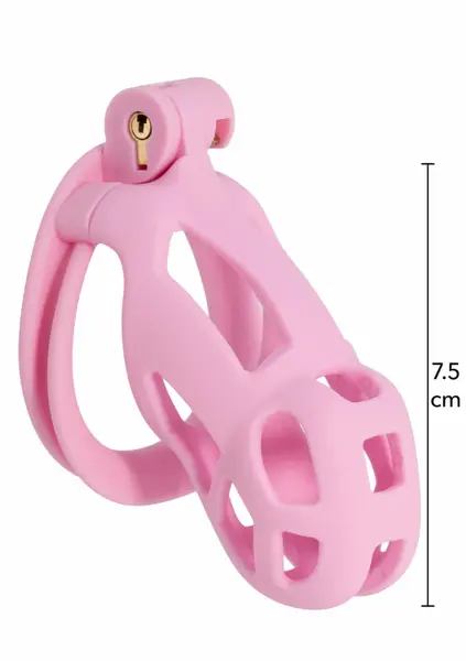 EXTREME by HIDDEN DESIRE Penis Prison Regular ABS Cage System Black