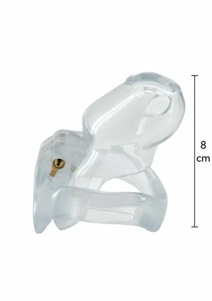 EXTREME by HIDDEN DESIRE Clear Control Cage Regular Acrylic System