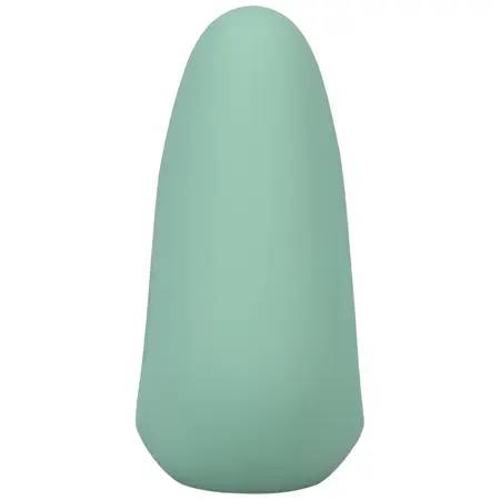 NS Novelties Chi Rechargeable Silicone Mint Intimate Massager