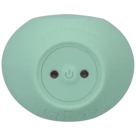 NS Novelties Chi Rechargeable Silicone Mint Intimate Massager