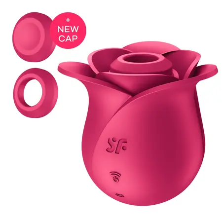 Satisfyer Pro 2 Modern Rose Pressure Wave Device, Rose Gold, 11 Modes