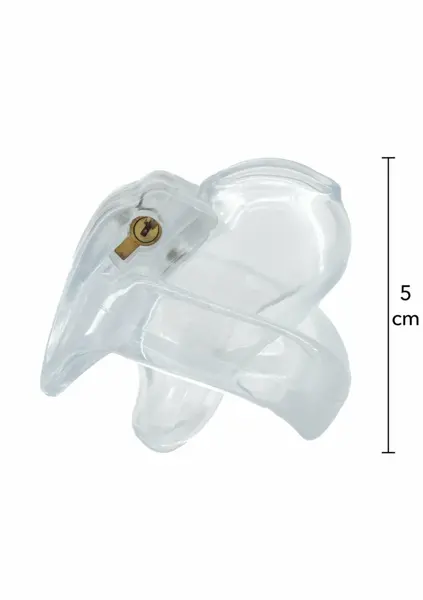 HIDDEN DESIRE Clear Control X-Short Cage Transparent Acrylic System