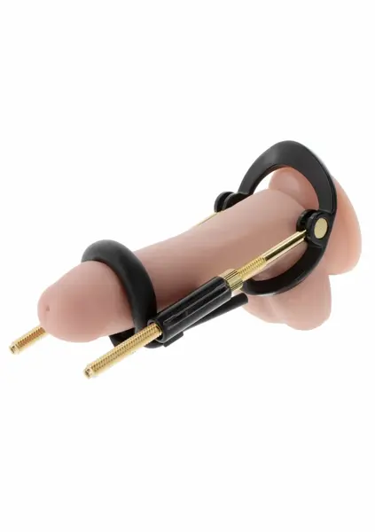 HIDDEN DESIRE Fusion X Basic Set - Adjustable Intimate Training System
