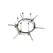 Oculus Stainless Steel Anal Explorer Adjustable Ring 4.1in