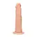 YOU2TOYS Dong Model 17 cm Skin Tone Suction-Cup Base