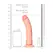 RealRock Curved Model with Suction Cup 20.5cm - Lifelike Texture, Beige