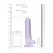 RealRock Crystal Clear 21cm Transparent Model with Sturdy Suction Base