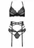 THP102 Black Lace 3-Piece Lingerie Set with Embroidered Details