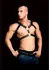 Andres Harness Model - Adjustable Bonded Leather Body System Black